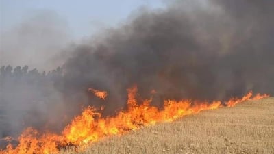 “جوتیارانى گه‌نم سووتاو قه‌ره‌بوو ناكرێنه‌وه‌”