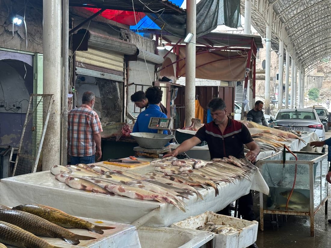 صور: أسماك المحافظات لم تصل الى سوق الميدان في الموصل.. والسعر ارتفع قليلاً