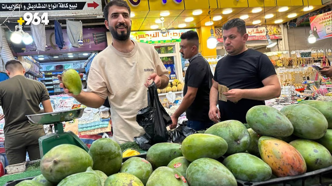 Customers rush to buy affordable mangoes in Mosul