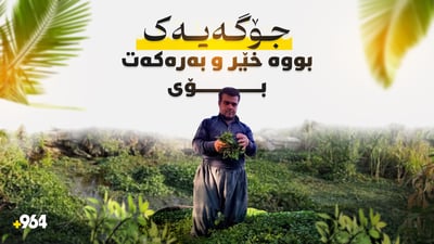 کۆرۆناکە کردی بە بەرهەمهێنەری کوزەڵە