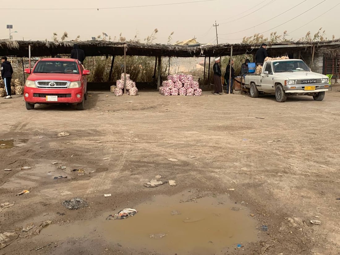 أبو غريب: انخفاض أسعار الشلغم إلى النصف.. والبطاطا أول الأسباب