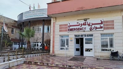 خەڵکی دەڤەری راپەڕین 400 جار دووپشک پێوەیداون