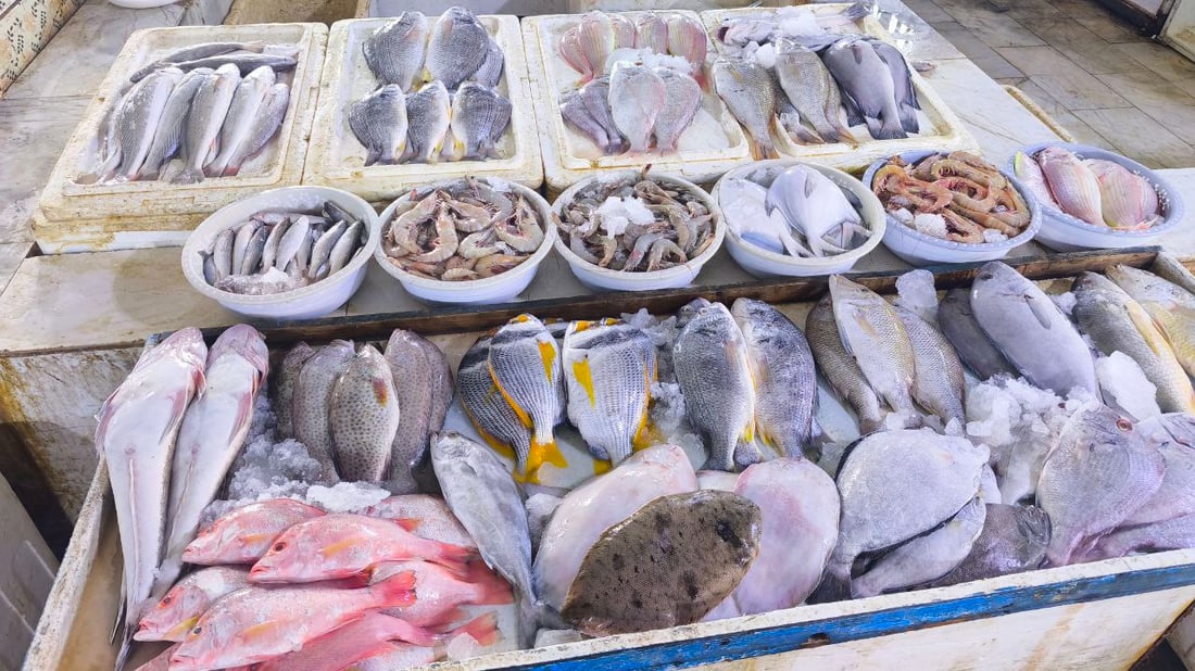 “هامور وشانگ وروبيان”.. وصول 22 طن أسماك إلى النقعة (صور)