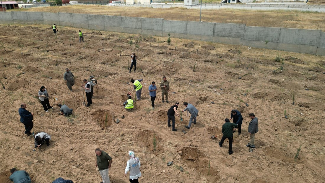 هەڵمەتێك بۆ چاندنی سەدان نەمام لە شۆڕش دەستیپێكرد