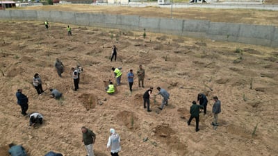 هەڵمەتێك بۆ چاندنی سەدان نەمام لە شۆڕش دەستیپێكرد