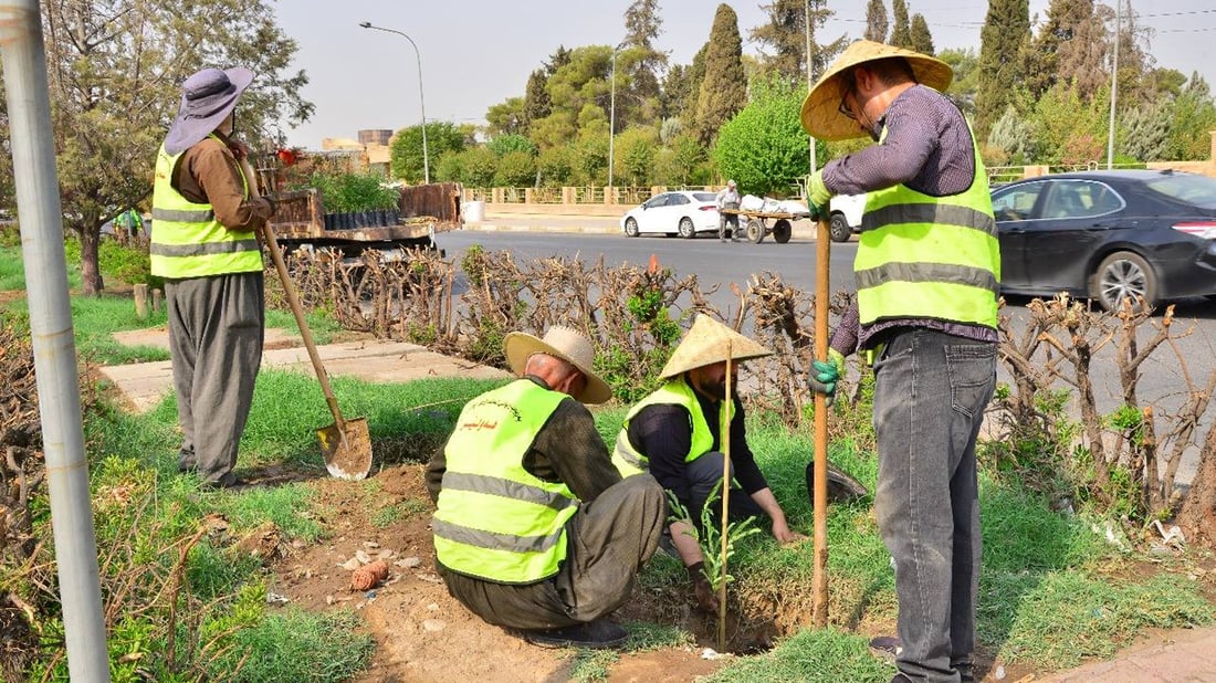 زیاتر لە 150 دار لە هەولێر چاندران