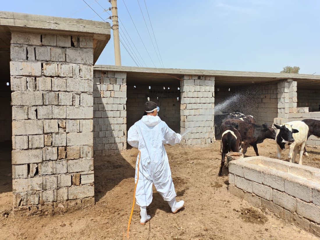 یه‌كه‌م حاڵه‌تى گیان له‌ده‌ستدان به‌هۆى تای خوێنبەربون له‌كه‌ركوك تۆمار كرا