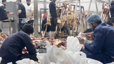 كوشتارگه‌ى هه‌ولێر پێش واده‌ى دیاریكراو كۆتایی به‌ قوربانیكردن هێنا