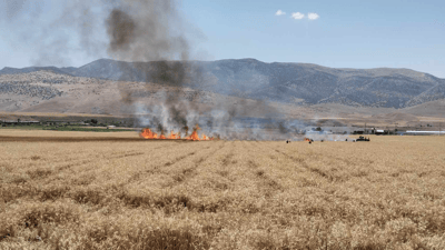 گەنمى جوتیارانى گوندى نورەدین سووتا