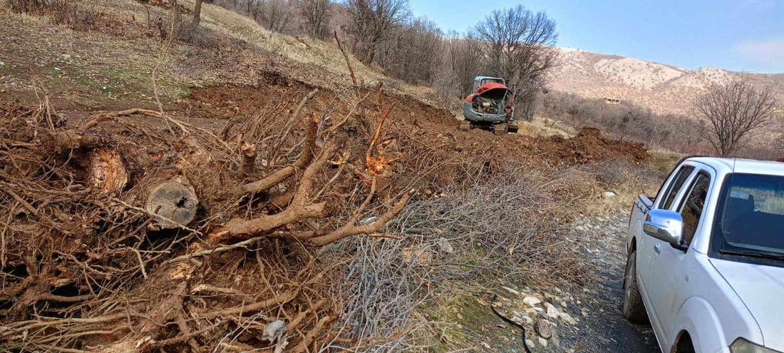 ژینگەیان تەخت و تاراج کرد و داریان لەریشەوە دەرهێنا؛ شەش کەسن و دەستگیرکران