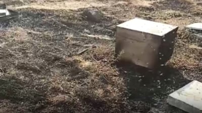 Fire in the mountainous are of Erbil destroys 150 beehives