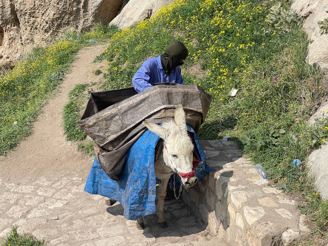 گرێبەستی گوێدرێژەکانی ئاکرێ و خاوەنەکانیان نوێکرانەوە