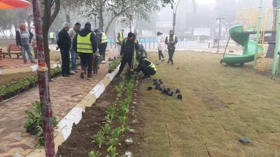 صور: حدائق شرقي بغداد تتنفس بأشجار جديدة وأزهار موسمية