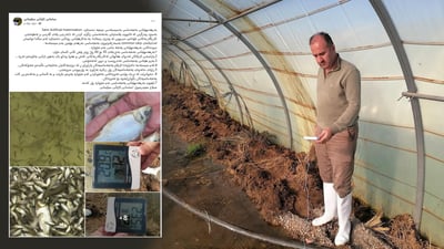 سه‌ڵاح مه‌جید: من خاوه‌نى پڕۆژه‌ى په‌نجه‌ماسییم لە خانووی پلاستیکیدا