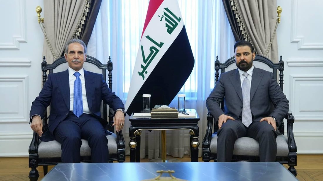 Zaidi, Zaidan discuss ‘completing the ministerial cabinet’