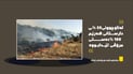 لە ماوەی 20 ساڵی رابردوو %50 دارستان و پاوانی هەرێم له‌ناوچوونە