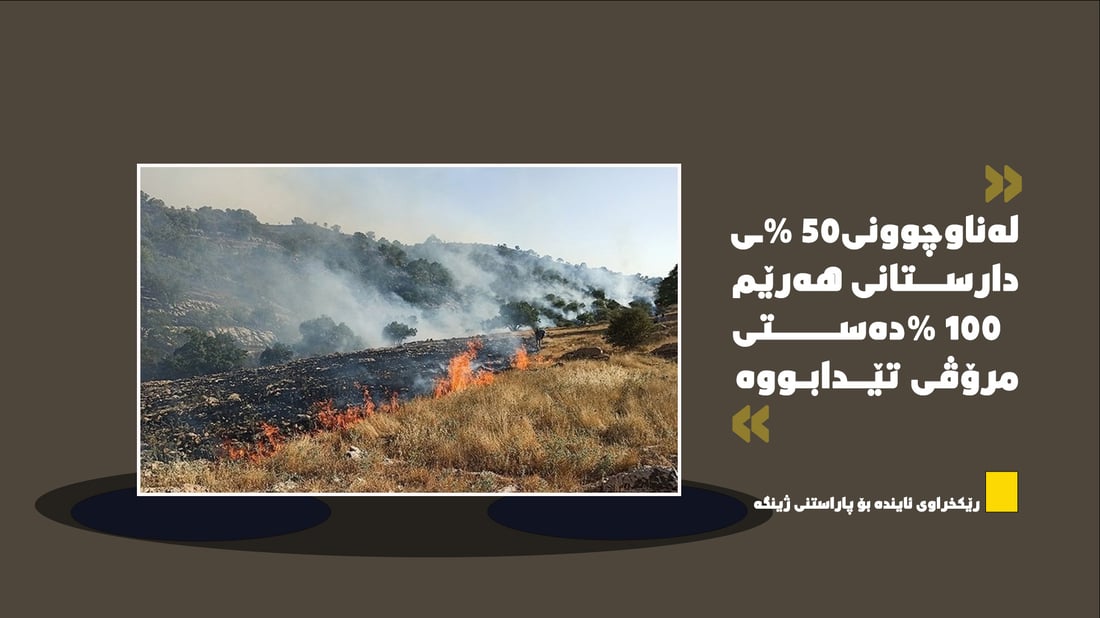 لە ماوەی 20 ساڵی رابردوو %50 دارستان و پاوانی هەرێم له‌ناوچوونە