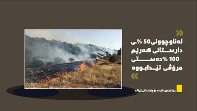 لە ماوەی 20 ساڵی رابردوو %50 دارستان و پاوانی هەرێم له‌ناوچوونە