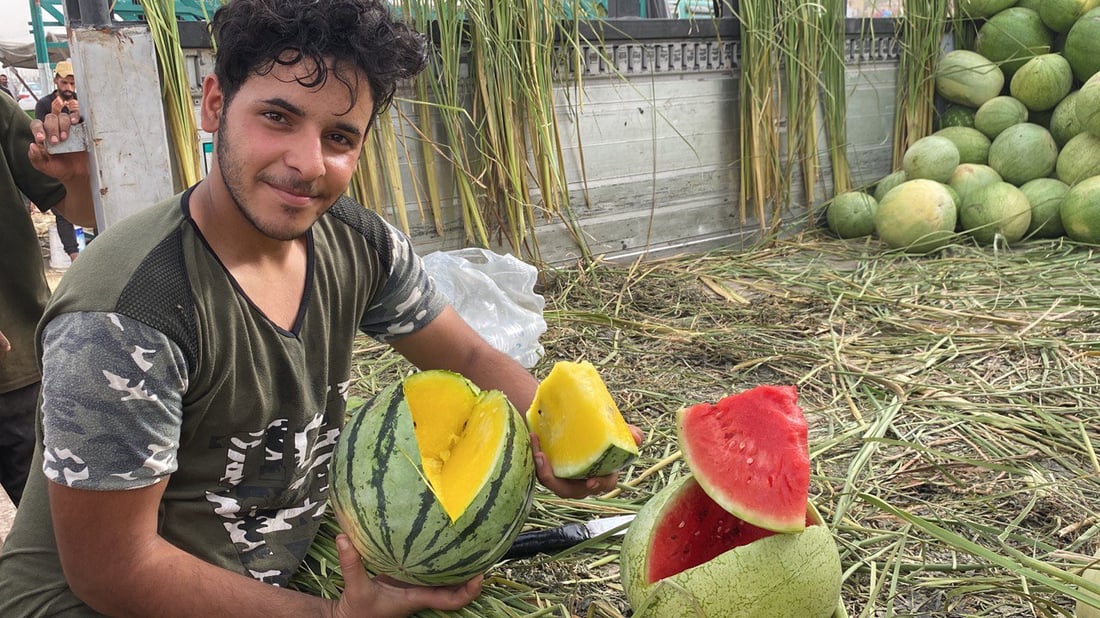 صور: “رقي الأناناس” في الناصرية للمرة الأولى.. فاكهة “لذيذة” تثير فضول الزبائن