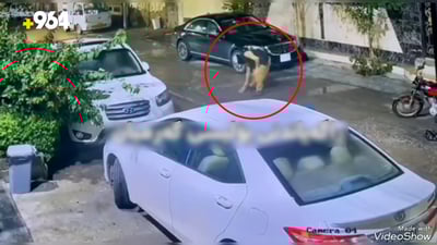 سێ تۆمەتبار لە گەرمیان دەستگیر کران