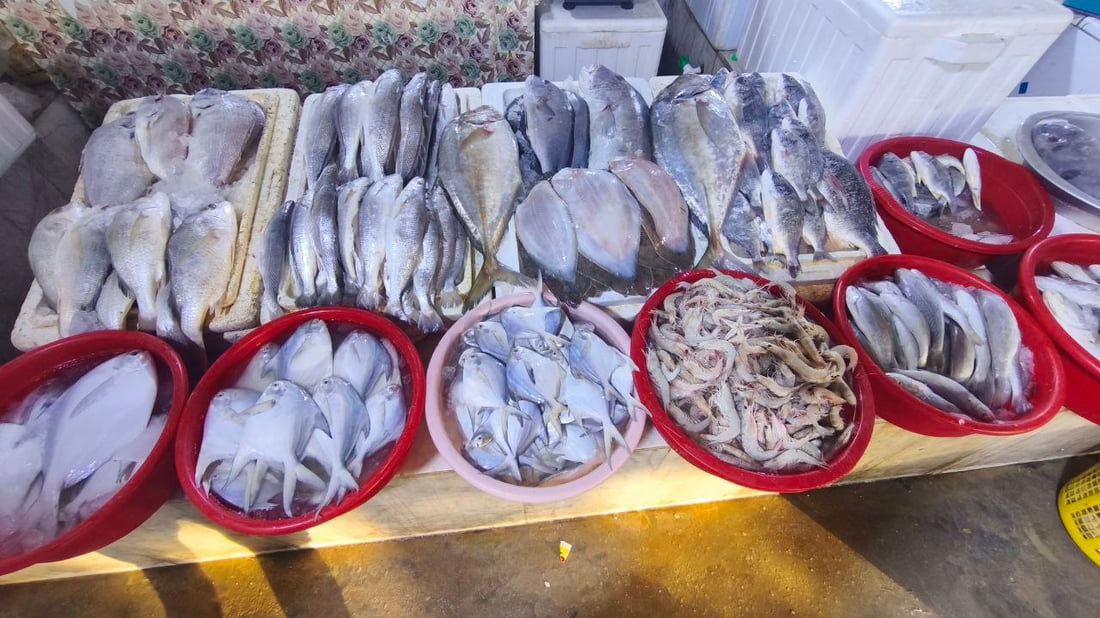 صور: عودة سمك الداكوك إلى أسواق الفاو بكمية 500 كغم.. الكيلو بـ 13 ألف دينار