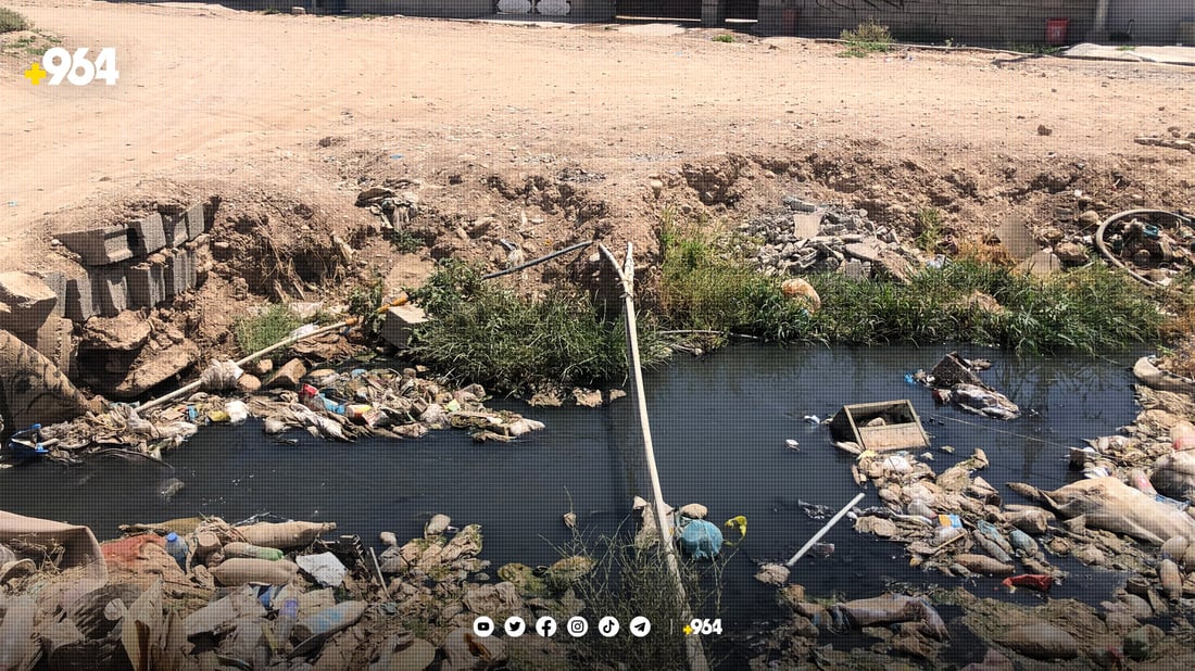 بۆنی چڵکاو گەڕەکێکی بەحرکەی هەراسانکردووە