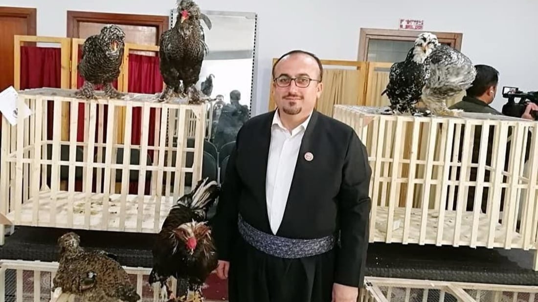 كلب وخروف ودجاجة.. إيران وتركيا زاوجتا حيوانات عراقية لإنتاج أصناف مقلدة