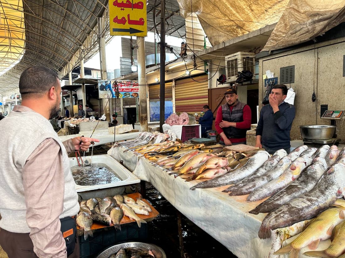 صور: أسماك داقوق والعمارة تخفض الأسعار في ميدان الموصل.. السمتي بـ7 آلاف