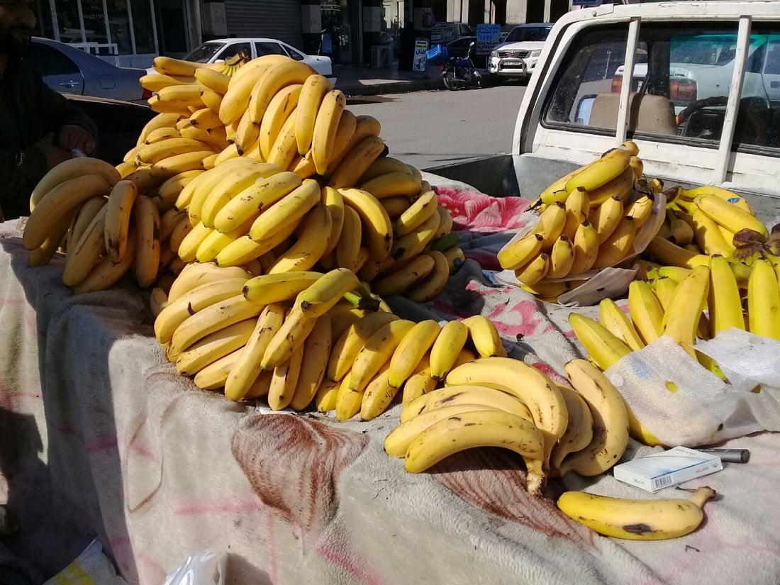 آلتون كوبري تأكل الموز من أربيل.. گوران يربح 100 دينار ويخسر دگة الميزان (صور)