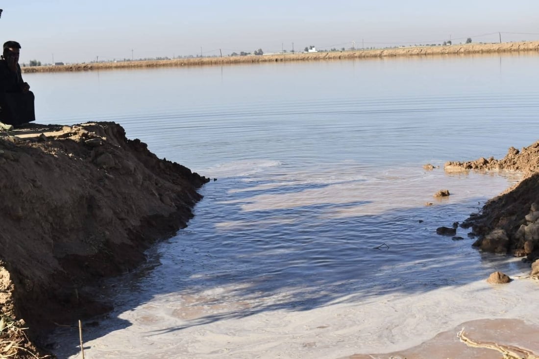 “خاوەنەکانیان رووبەڕووی دادگا دەکرێنەوە”