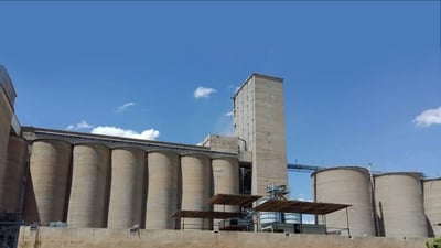 سایلۆى رۆڤیا ده‌ستى به‌ وه‌رگرتنى گه‌نمى جوتیاران كرد