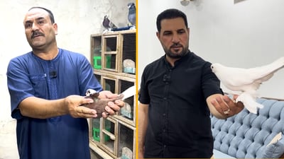 “10 دفاتر”.. دخلنا أبراج النجف العالية لاكتشاف الفرق وما يفعلونه بالطيور!