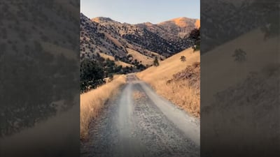 تەرمەکەی شێخ وەسانان هێشتا بێ خاوەنە