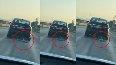 سەگێک بەدوای ئۆتۆمبێلەکەیدا رادەکێشێت