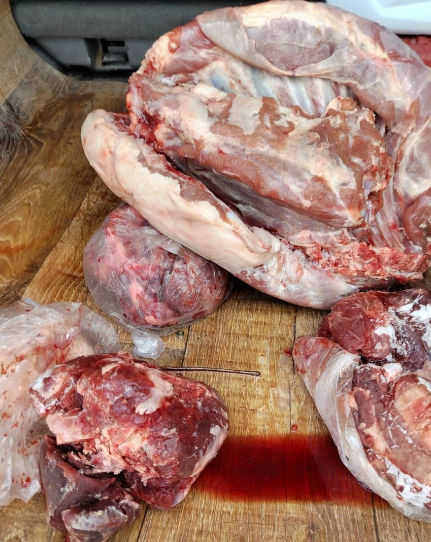 نزیکەی نۆ تۆن کاڵەک و 65 کیلۆ گۆشتی خراپبوو دەستیان بەسەرداگیرا