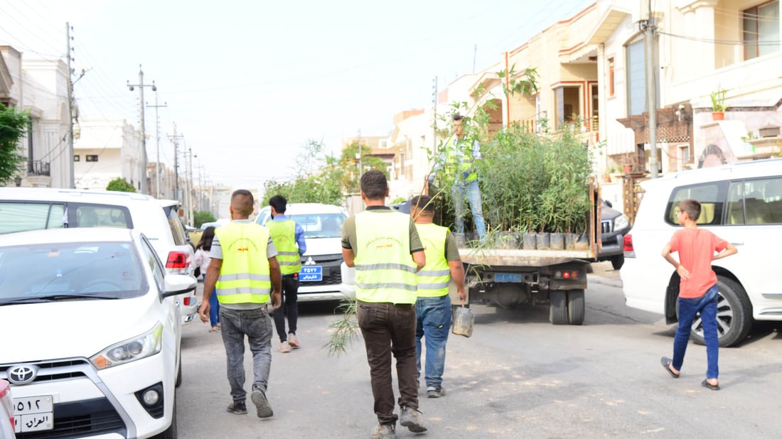 بە هەزاران دار بەسەر گەڕەکەکانی هەولێر دابەشدەکرێن