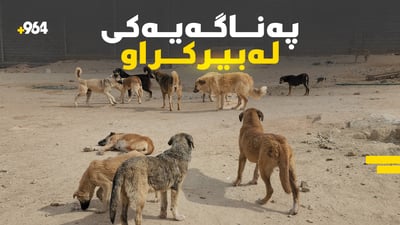 نۆ مانگە بەتەنیا چاودێری سەگ دەکات