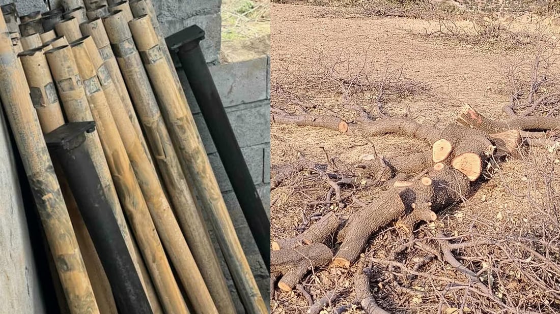  لە سیتەک دەستبەسەر داردا گیرا و لە بەردەقارەمان کەسێک دەستگیرکرا