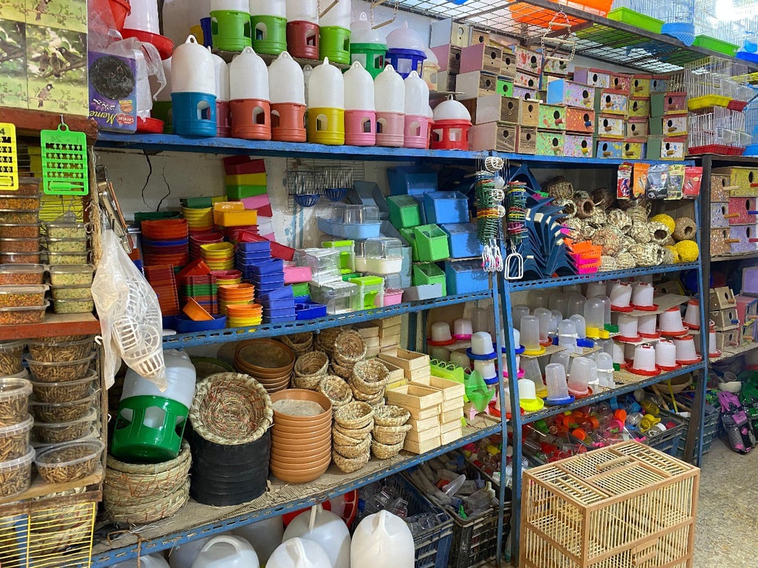 ملتقى “الجنّاية” منذ الخمسينيات.. جولة صورية داخل أقدم سوق للطيور في ميسان