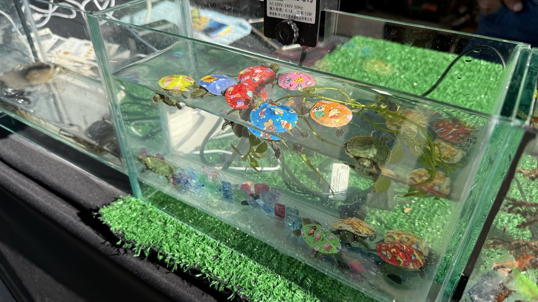 معرض العراق الدولي للكتاب.. كتب وبازارات تجذب الزوار (صور)