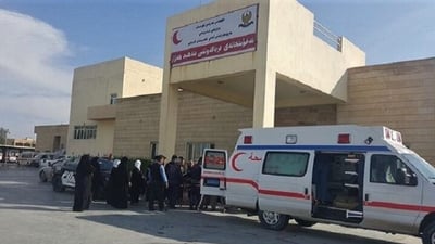 عضة حصان أغرب حوادث العيد في السليمانية