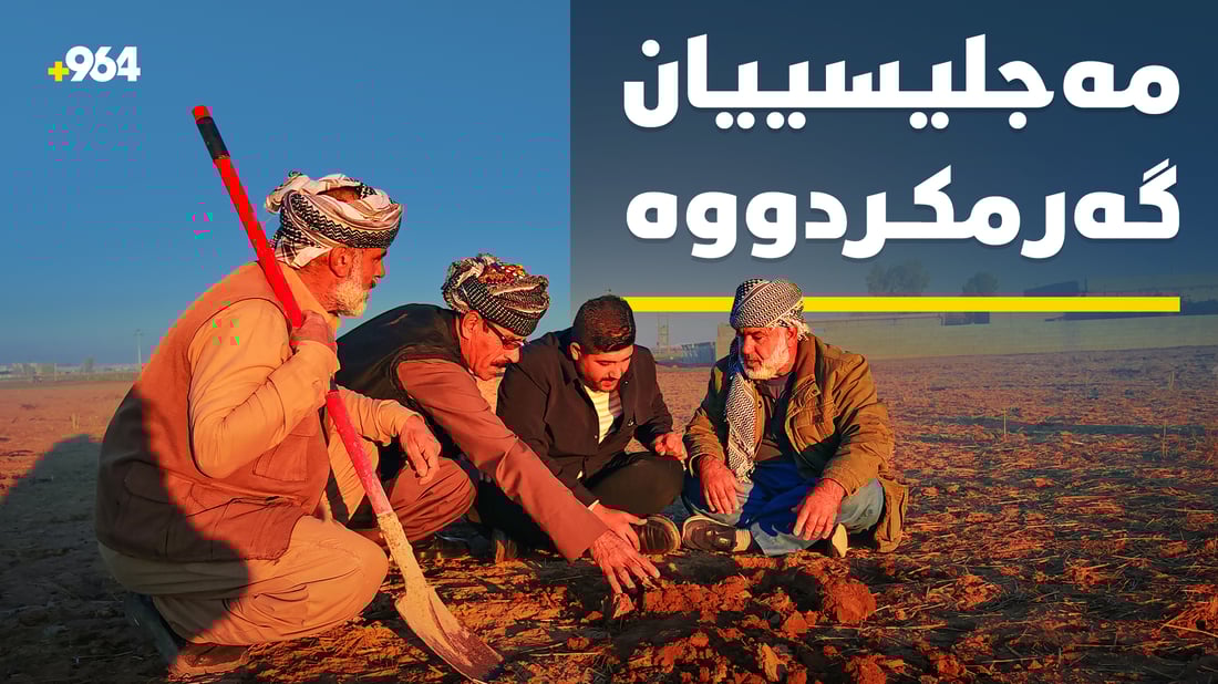 جوتیارانی دووگردكان باسی پەڵە دەكەن