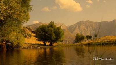 ربما يكون الفيديو قاسياً لكنه حقيقي.. مَن يستحق هذه الأرض أكثر؟