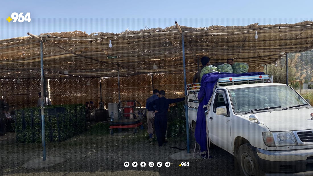 له‌ عەلوە بچووكه‌كانه‌وه‌ به‌رهه‌مه‌كانى پێنجوێن ده‌گاته‌ شاره‌كان