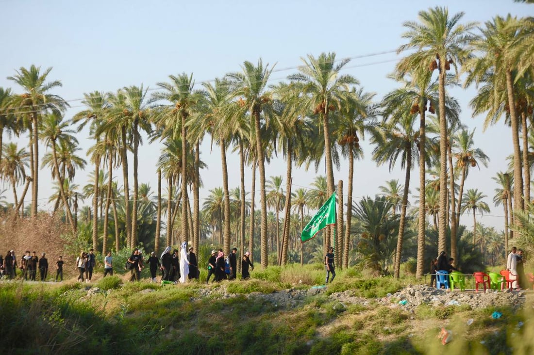 صور من بساتين بابل.. حشود الزائرين تشق طريقها نحو كربلاء مشياً على الأقدام