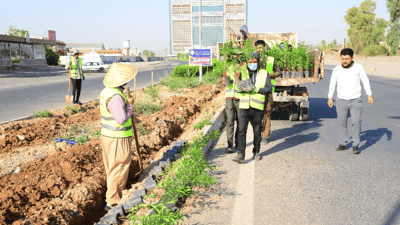 لە چەند شەقامێکی هەولێر هەڵمەتێکی گەورەی دارچاندن بەڕێوەچوو