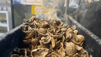 چێشتخانه‌یه‌ك له‌ بری خه‌ڵوز توێكڵی گوێز به‌كار ده‌هێنێت