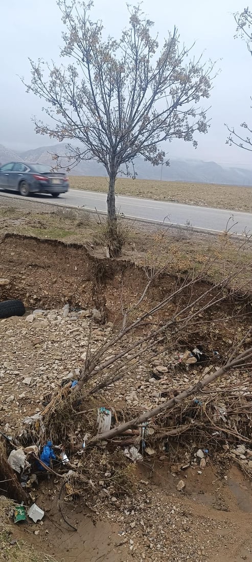 بچن بەهانای درەختەکانی نێوان تەکیە بۆ چەمچەماڵ