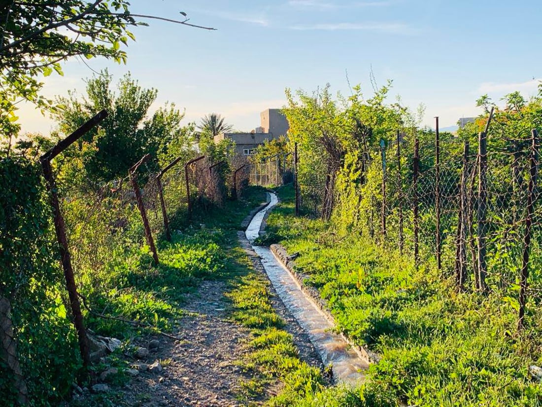 خاوه‌ن باخچه‌كانى باتاس به‌پێی پلانێك سێ سه‌رچاوه‌ ئاوه‌كه‌یان بۆ ئاودان به‌كارده‌هێنن