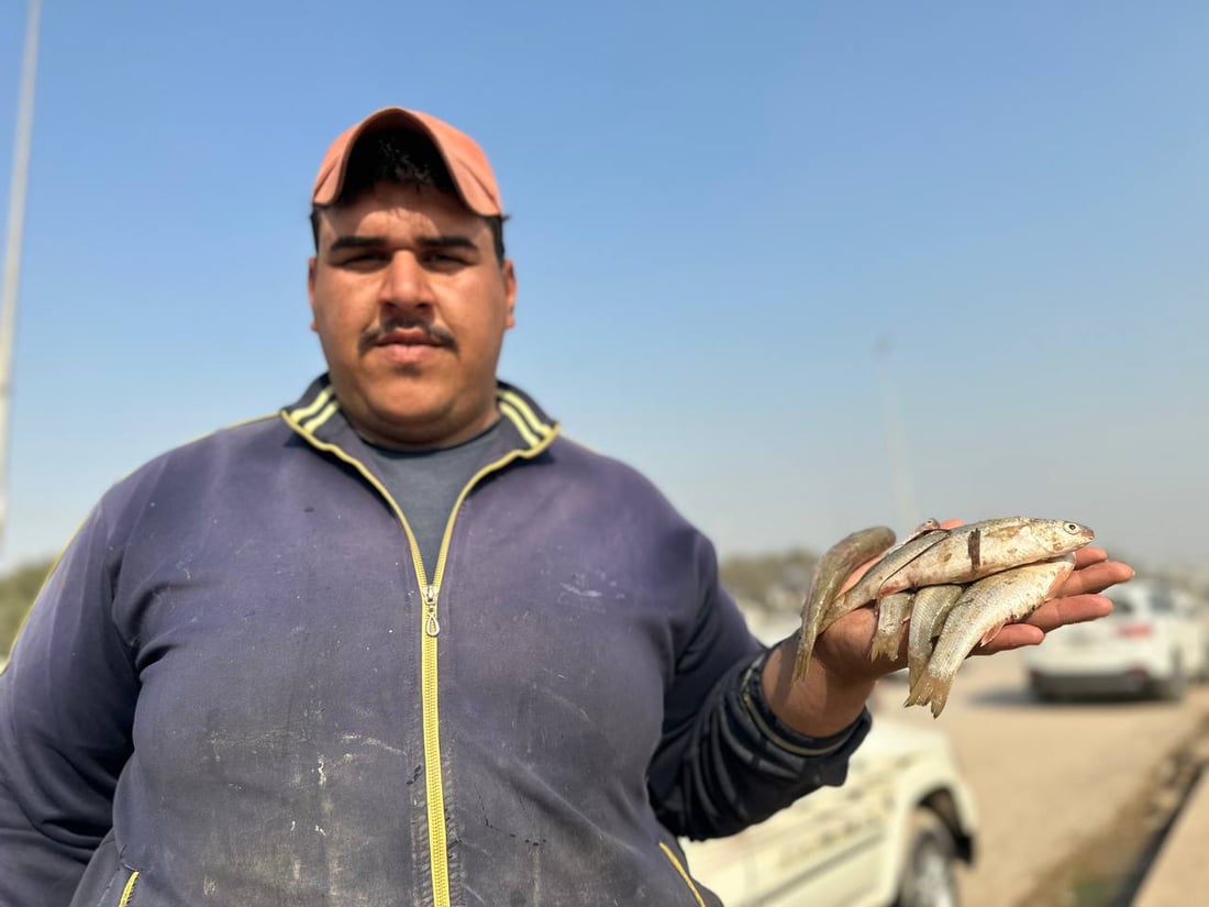 صور من سوق السمك في الديوانية: السمتي بـ6500 وأبو زريدة بـ4 آلاف